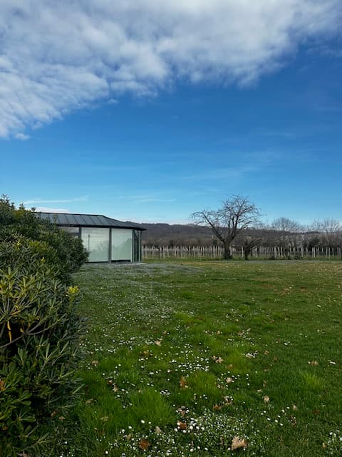 LOCALE tra le Vigne