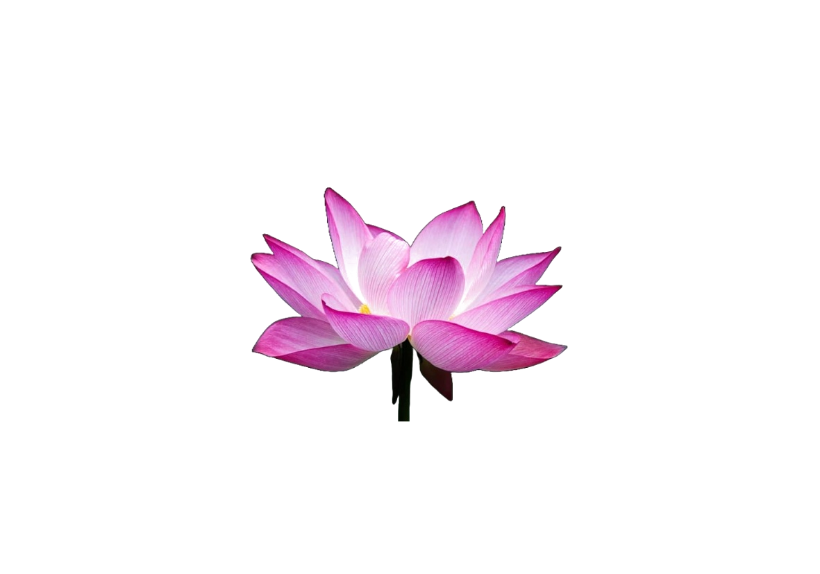 Logo Agenzia O.R.E.A.